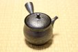 Photo1: Tokoname ware Japanese tea pot kyusu ceramic strainer YT Shoryu tenmoku 270ml (1)