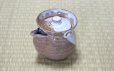Photo7: Hagi ware Senryuzan climbing kiln Japanese tea pot kyusu Daruma shiboridashi