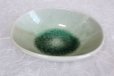 Photo4: Shigaraki pottery Japanese soup noodle serving bowl harukusa daen D170mm