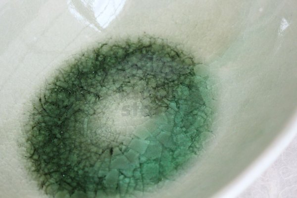 Photo8: Shigaraki pottery Japanese soup noodle serving bowl harukusa daen D170mm