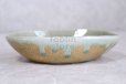 Photo9: Shigaraki pottery Japanese soup noodle serving bowl harukusa daen D170mm