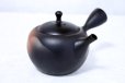 Photo4: Tokoname ware Japanese tea pot kyusu ceramic strainer YT Shoryu yamakasumi 340ml