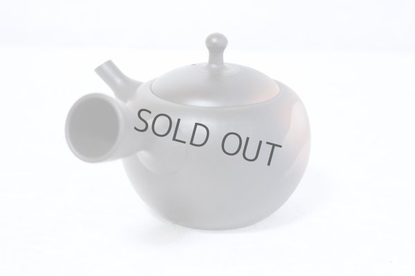 Photo6: Tokoname ware Japanese tea pot kyusu ceramic strainer YT Shoryu yamakasumi 340ml