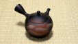 Photo1: Tokoname ware Japanese tea pot kyusu ceramic strainer YT Shoryu yamakasumi 340ml (1)