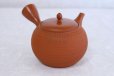Photo3: Tokoname Japanese tea pot kyusu Gyokko pottery tea strainer shudei red ma 300ml (3)
