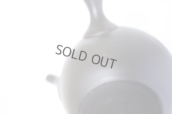 Photo10: Tokoname ware Japanese tea pot kyusu ceramic strainer YT Shoryu yamakasumi 340ml