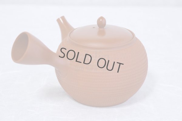 Photo6: Tokoname Japanese tea pot kyusu Gyokko pottery tea strainer shudei red ma 300ml