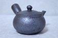 Photo5: Shigaraki pottery tea strainer Japanese tea pot kyusu nanbu 350ml