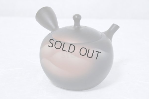 Photo3: Tokoname ware Japanese tea pot kyusu ceramic strainer YT Shoryu yamakasumi 340ml