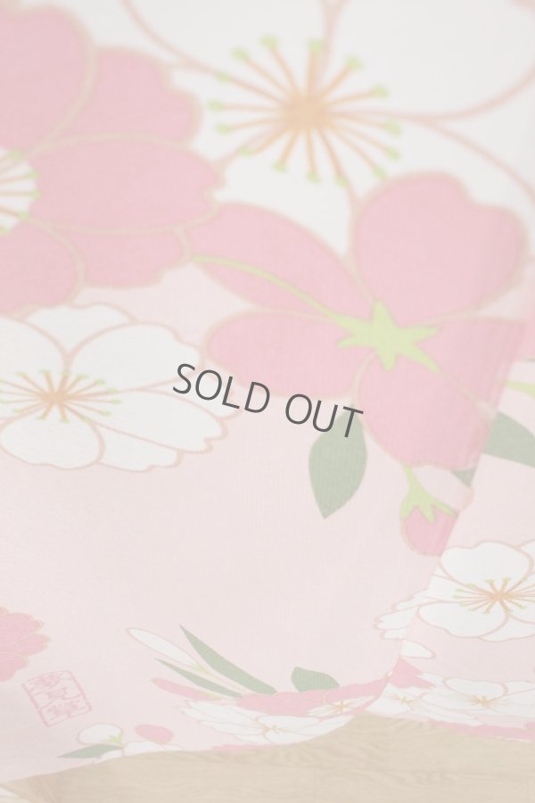 Photo5: Noren Japanese Curtain Doorway NM SD yumemiso flowers 85 x 150cm
