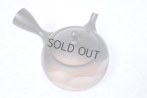 Photo7: Tokoname ware Japanese tea pot kyusu ceramic strainer YT Shoryu yamakasumi 340ml