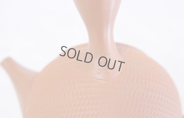 Photo9: Tokoname Japanese tea pot kyusu Gyokko pottery tea strainer shudei red ma 300ml