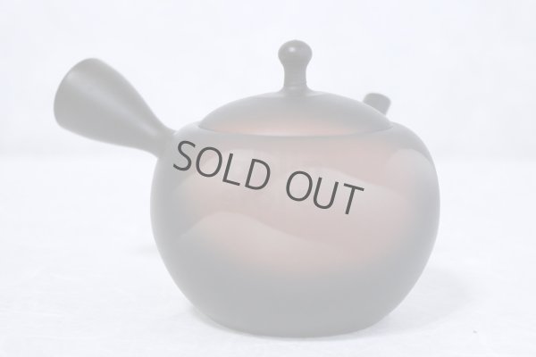 Photo11: Tokoname ware Japanese tea pot kyusu ceramic strainer YT Shoryu yamakasumi 340ml