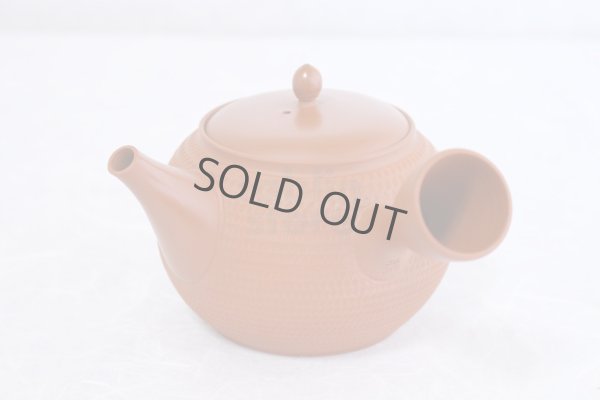 Photo5: Tokoname Japanese tea pot kyusu Gyokko pottery tea strainer shudei red ma 300ml