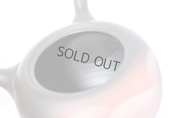 Photo8: Tokoname ware Japanese tea pot kyusu ceramic strainer YT Shoryu yamakasumi 340ml