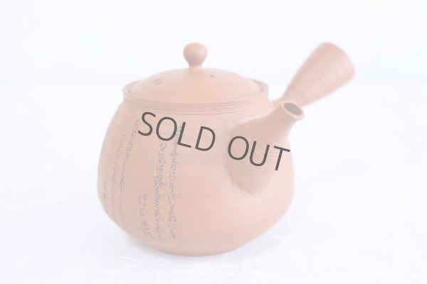 Photo8: Tokoname Japanese tea pot kyusu YT rokkasen waka reiko red 330ml and tea cups