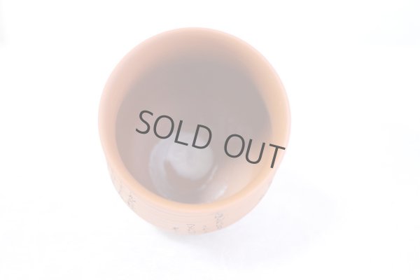 Photo16: Tokoname Japanese tea pot kyusu YT rokkasen waka reiko red 330ml and tea cups