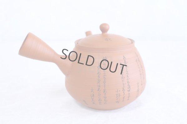 Photo10: Tokoname Japanese tea pot kyusu YT rokkasen waka reiko red 330ml and tea cups