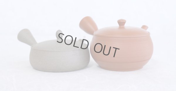 Photo5: Tokoname 2H Japanese tea pot Gyokko pottery tea strainer flat shape yakishime 170ml