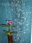 Photo3: Kyoto tapestry SB Japanese batik moon single‐flower vase blue 19 x 120cm (3)