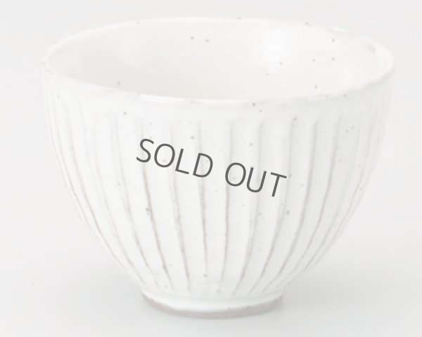 Photo8: Mino ware Japanese pottery matcha chawan tea bowl toga sogi noten