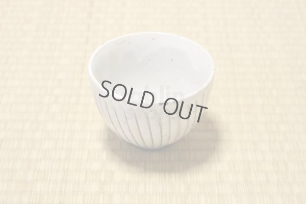 Photo7: Mino ware Japanese pottery matcha chawan tea bowl toga sogi noten