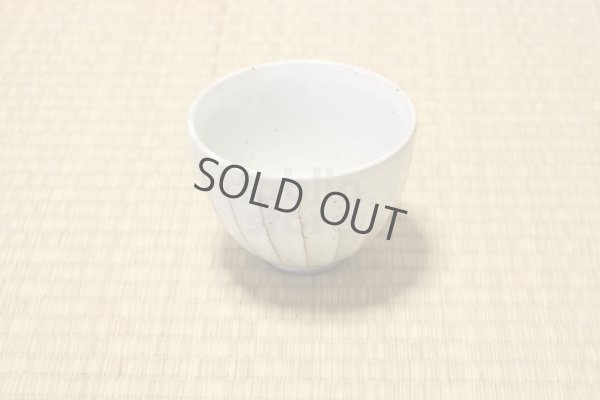 Photo6: Mino ware Japanese pottery matcha chawan tea bowl toga mentori noten