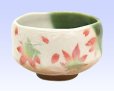 Photo10: Mino ware Japanese pottery tea ceremony bowl Matcha chawan maple momiji noten  (10)