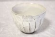 Photo3: Mino ware Japanese pottery matcha chawan tea bowl toga mentori noten