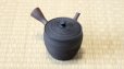 Photo12: Tokoname YT Japanese tea pot Gyokko pottery tea strainer yohen matsu 160ml