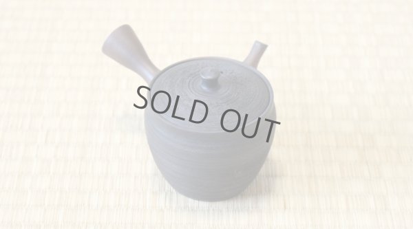 Photo12: Tokoname YT Japanese tea pot Gyokko pottery tea strainer yohen matsu 160ml