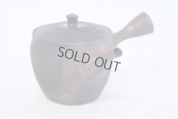 Photo1: Tokoname YT Japanese tea pot Gyokko pottery tea strainer yohen matsu 160ml