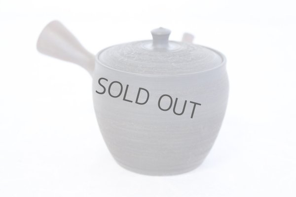 Photo4: Tokoname YT Japanese tea pot Gyokko pottery tea strainer yohen matsu 160ml