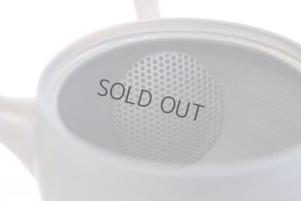 Photo8: Tokoname YT Japanese tea pot Gyokko pottery tea strainer yohen matsu 160ml