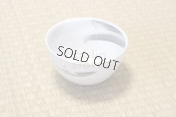 Photo9: Mino ware pottery Japanese tea ceremony bowl Matcha chawan white rabbit yuki