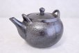 Photo3: Shigaraki pottery Dobin Japanese tea pot kyusu nanbu 600ml