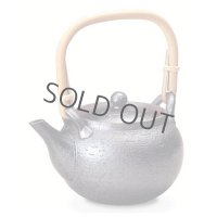 Shigaraki pottery Dobin Japanese tea pot kyusu nanbu 600ml