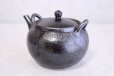 Photo4: Shigaraki pottery Dobin Japanese tea pot kyusu nanbu 600ml (4)