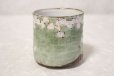 Photo2: Kutani Porcelain yunomi tea cup pottery tumbler sakura 380ml (2)