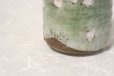 Photo6: Kutani Porcelain yunomi tea cup pottery tumbler sakura 380ml