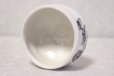 Photo8: Mino ware pottery Japanese tea ceremony bowl Matcha chawan sansui white shino