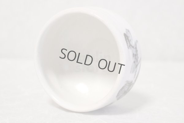 Photo8: Mino ware pottery Japanese tea ceremony bowl Matcha chawan sansui white shino