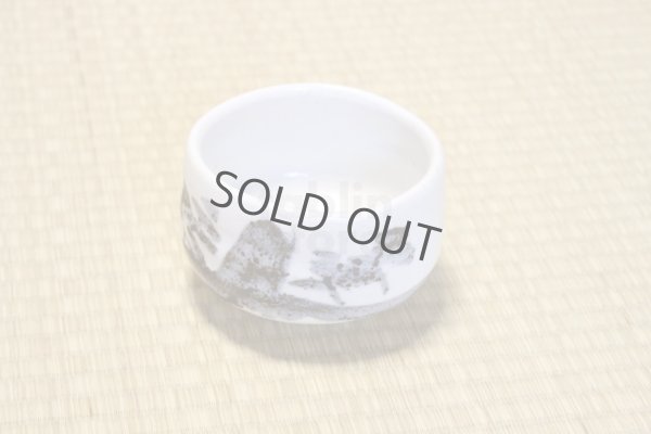 Photo10: Mino ware pottery Japanese tea ceremony bowl Matcha chawan sansui white shino