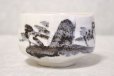 Photo4: Mino ware pottery Japanese tea ceremony bowl Matcha chawan sansui white shino