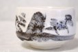 Photo11: Mino ware pottery Japanese tea ceremony bowl Matcha chawan sansui white shino