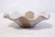 Photo6: Bizen ware pottery bowl white glaze hana hidasuki Tomoyuki Oiwa
