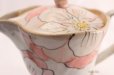 Photo9: Seto yaki ware Kobiki Rinka Japanese tea pot made by Afuku Kiln 250ml