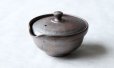 Photo1: Shigaraki pottery Japanese tea pot kyusu Hohin shiboridashi ginryo 120ml (1)