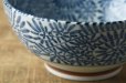 Photo1: Japanese Rice Soup Noodle bowl Donburi Mino ware tako karakusa D185mm  (1)