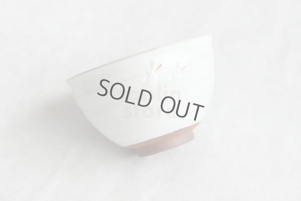 Photo12: Mino ware pottery Japanese tea ceremony bowl Matcha chawan white rabbit yuki